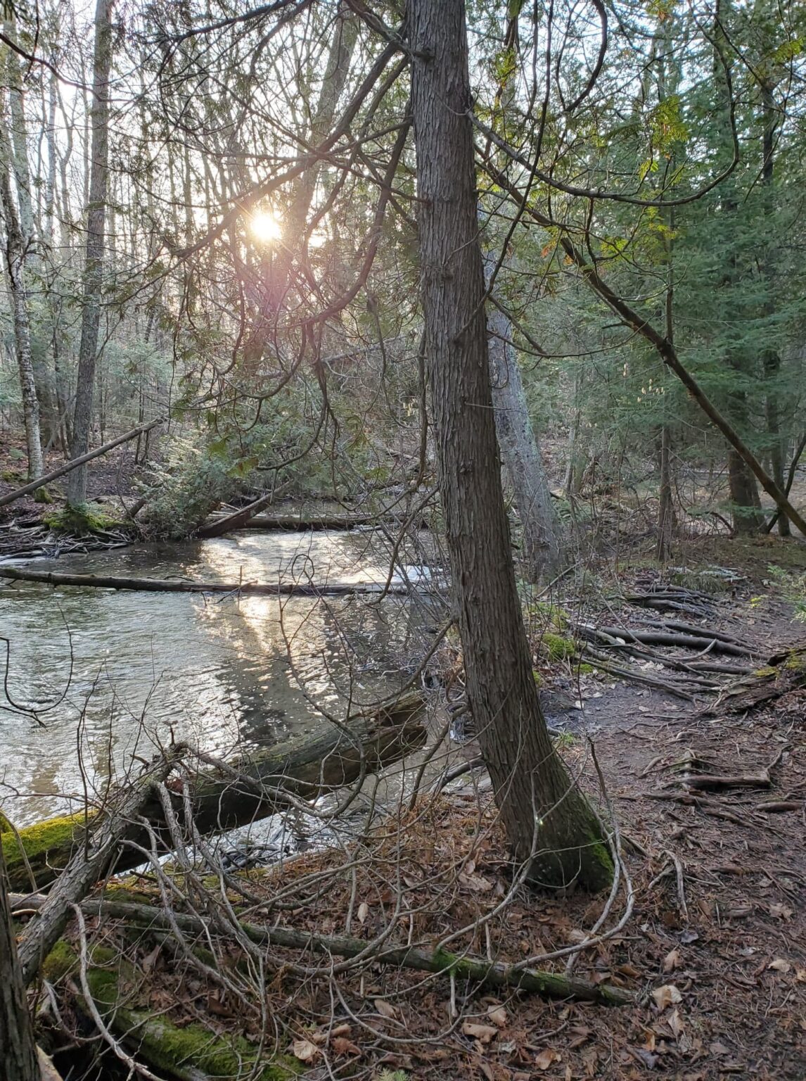 Last Minute Lodging in Door County, WI April 30 May 2, 2021 Door